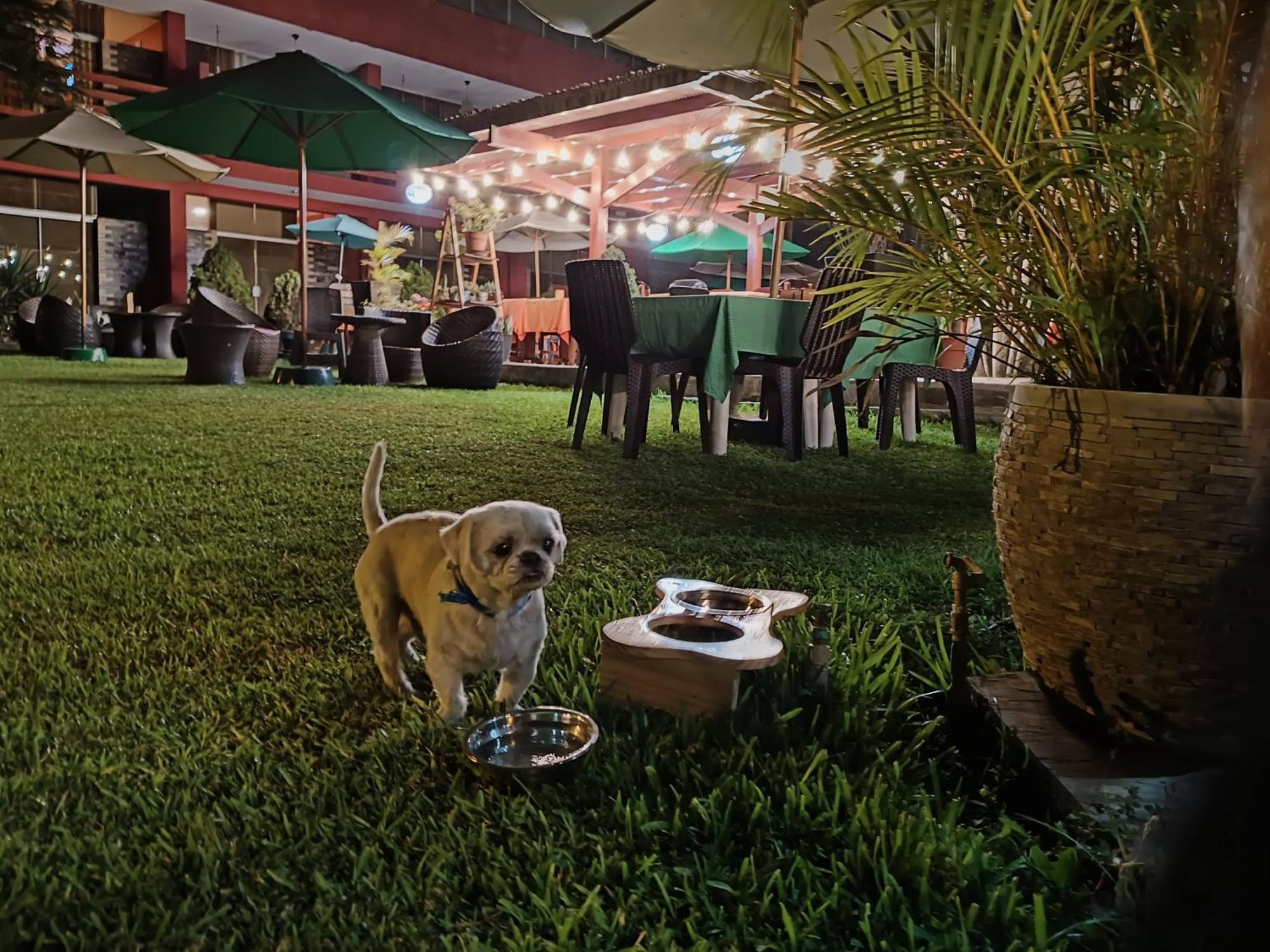 Huertalejandro Restaurante Campestre Y Hospedaje シエネギージャ エクステリア 写真